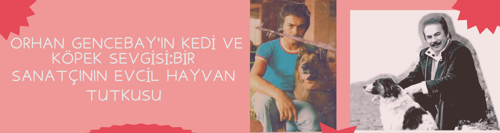 Orhan Gencebay'ın Kedi ve Köpek Sevgisi: Bir Sanatçının Evcil Hayvan Tutkusu